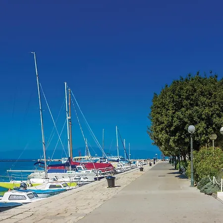 Apartament In With Wifi